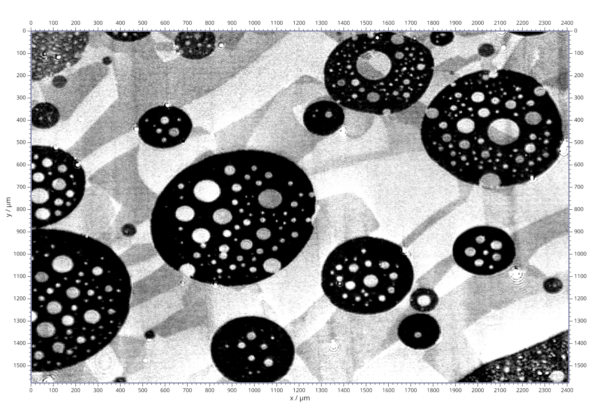 Optically anisotropic domains in a stearic acid monolayer