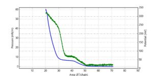 Surface Potential