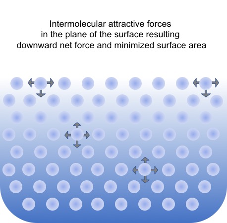 surface tension of water molecules